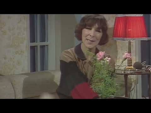 Hana Hegerová – Když někdo z vás