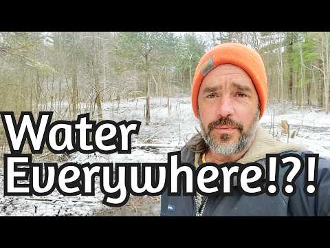 Permaculture Water: Management & Landscape Observations