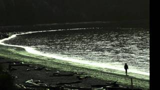 Peter Jefferies & Jordan Clarke - 'Alone Forever'