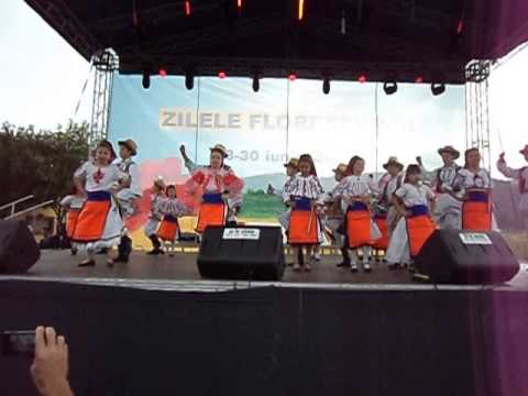 ansamblu folcloric cununa somesana floresti