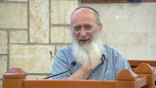 נקודת השקה בין העולם העליון לעולם התחתון – שיעור 111 – ספר במדבר