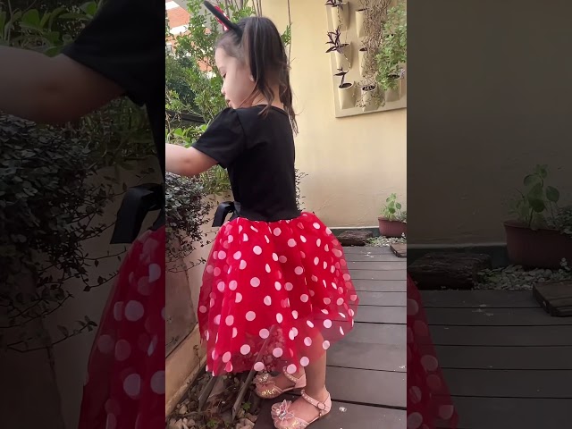 Vídeo relacionado con Disney Bragas Paquete de 5 Minnie Mouse Multicolor 2-3 Años