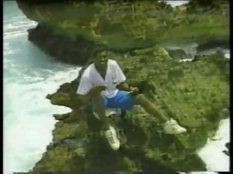 Thumbnail for Everybody Said (But Nobody Did) video