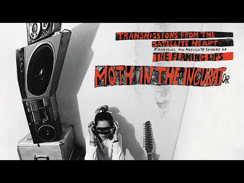 Moth in the Incubator - The Flaming Lips