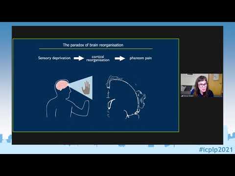 ICPLP2021 - Prof. Makin: Stability of sensory topographies in amputees