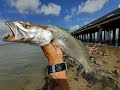 TEXAS A&M CORPUS CHRISTI HAS BIG TROUT-OSO BAY-PHILLIPS TACKLE-PEZCADOR CONCEPT-FISHING APPAREL-