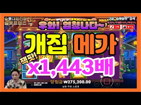 [슬롯] 도그하우스 메가웨이즈 x1,443 배당 ~!!! 잭팟 #슬롯