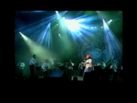 Gal Costa - Último Regresso