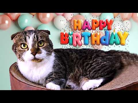 レオンが16歳の誕生日を無事迎えることができました！