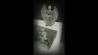 4 eyes 2 Heads Yah Let Me Know!