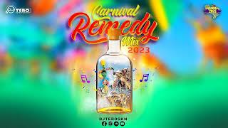 Carnival Remedy Mix 2023 | DJ Tero