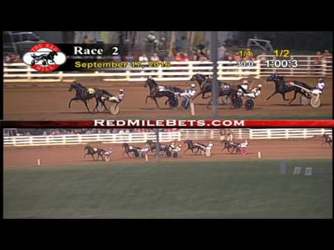 Red Mile Racetrack Race 2 9-17-2016