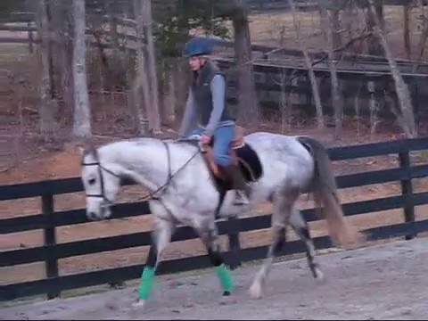 HELP ME (show) NAME MY HORSE! *open*