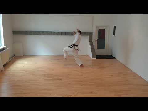 Taekwon-Do / 7. Hyong Toi-Gye/ 37 Bewegungen / von vorne / Kampfsequenzen