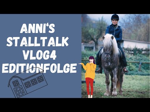 Ich fahre mit meinem  Hengst auf Überraschungsbesuch ❤️❤️ (Edition)#isländer #hengst #überraschung