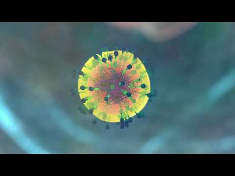 Nogier Frequency - 294 Hz - Digital Tuning Fork