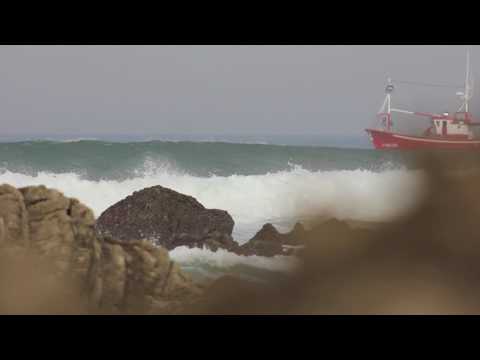 Passionata by MenbrisBand