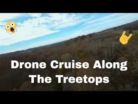 Christopher Abt video