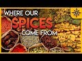 The Geography of Spices and Herbs