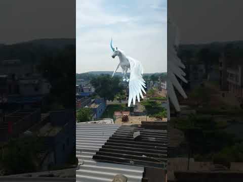 ||amazing Flying Horse 🐎||#shorts