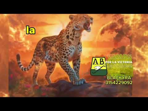 Leopardo Campeón "Nuestra primera estrella"