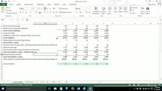 Pro forma Balance Sheet Percent of Sales (Excel 2013)