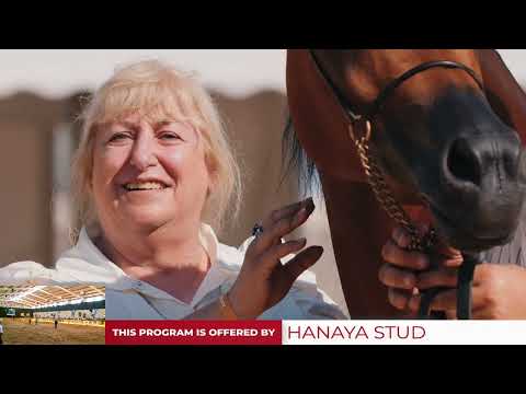 Brazilian National AHS 2022   Filly Championship