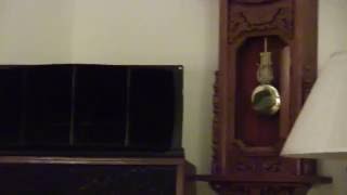 Terry Snyder And The All Stars - The Breeze and I