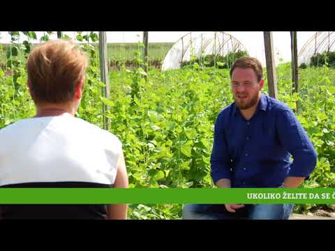 Reč struke ep. 195 09.08.2018. - Zaštita povrća tokom kišovitog leta