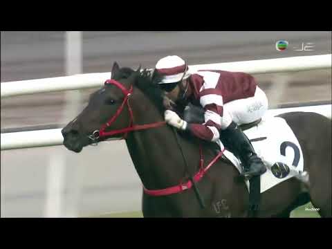 27/12/2021 (287) 醉眼光 (G018) 莫雷拉