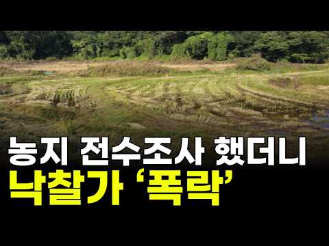 농지 전수조사 했더니 경매 낙찰가 &#39;폭락&#39;