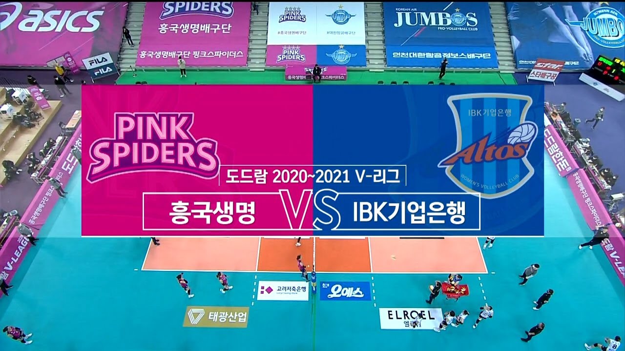 [V리그] 흥국생명 vs IBK기업은행 하이라이트 (02.16)