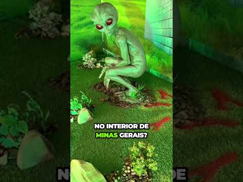 Varginha aconteceu ou não aconteceu?