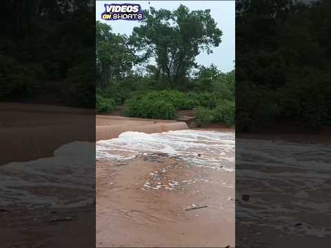 Rio Itaueira Floriano Piauí #shorts #rioitaueira #piauí