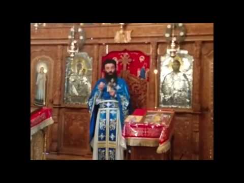 20170129 NICOLAE BALASOIU – DUMINICA CANANEENCEI