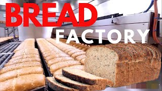 How BREAD is made in Factory   ||  BREAD FACTORY