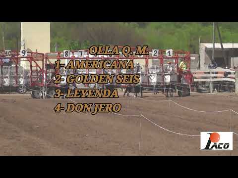 GOLDEN SEIS  HIPODROMO DON SOHAR CRUZ DEL EJE 9 10 2022