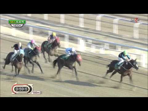 The 9th Macau Jockey Club Trophy