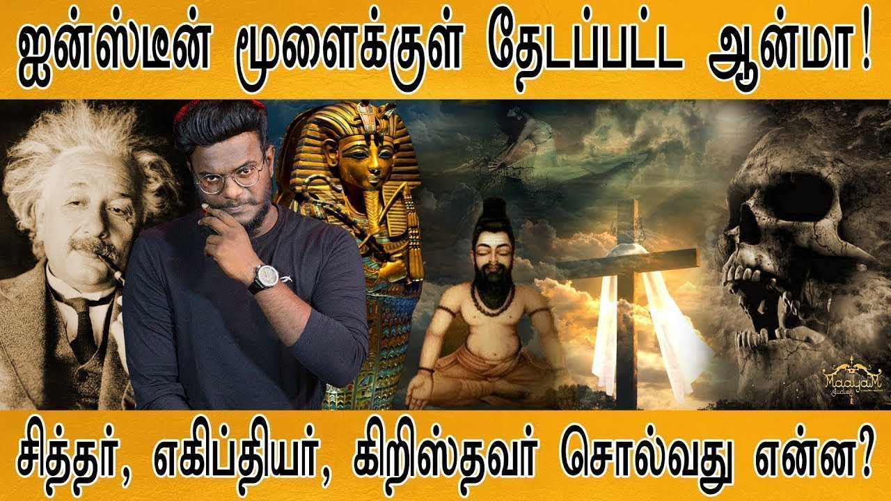 ஐன்ஸ்டீன் மூளைக்குள் தேடப்பட்ட ஆன்மா! | Finding Soul in Einstein's Brain |