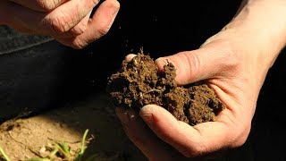 Recomanació: L’Era