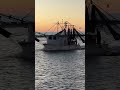 Shrimp Boat Returns Home: A Glimpse into Life at Sea and Fresh Catches Await!