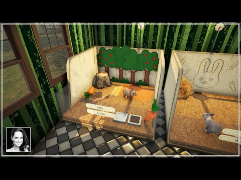 Create Your Dream Pets Hotel: Gameplay & First Look - YouTube