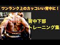 【ワンランク上の背中を作ろう!】背中下部のトレーニング集