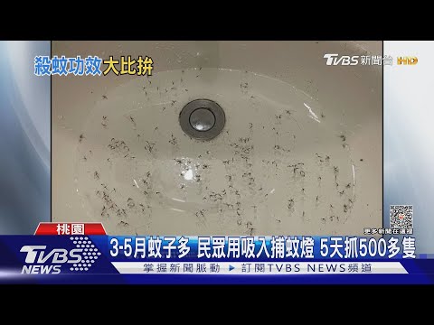 蚊子多