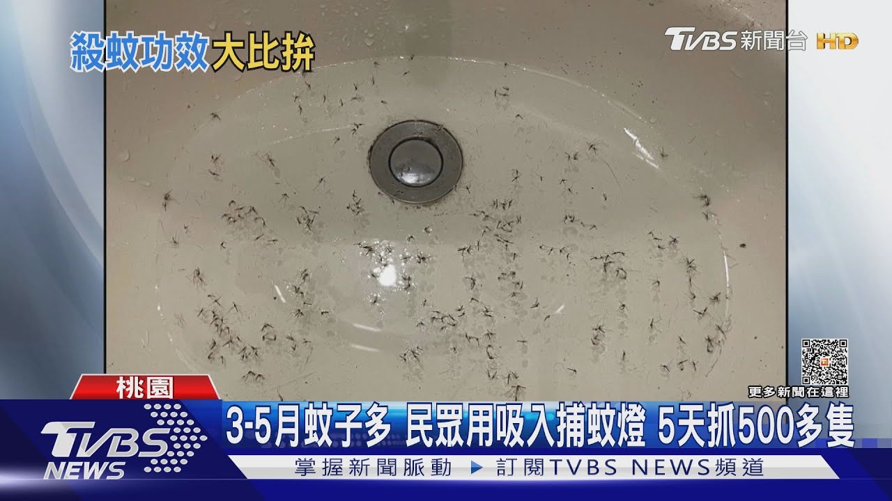 3到5月蚊子多 民眾用吸入捕蚊燈5天抓500多隻