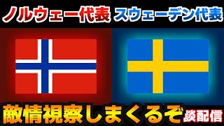 【敵情視察】ノルウェー代表vsスウェーデン代表｜W杯/ワールドカップ/サッカー日本代表