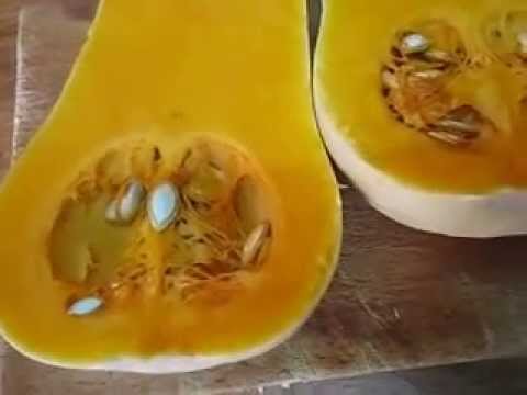 Calabaza, un alimento bueno, bonito y nutritivo Calabaza, un alimento bueno, bonito y nutritivo