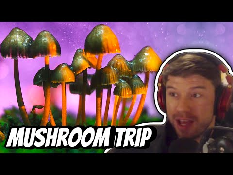 The First Time Kyle Tried Mushrooms | PKA