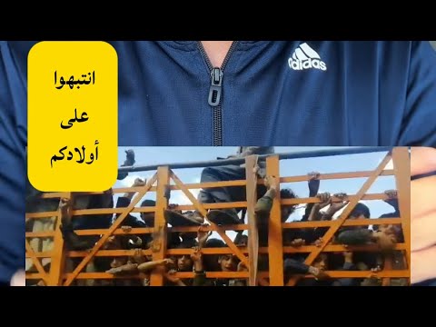 Yemeni Windows Media