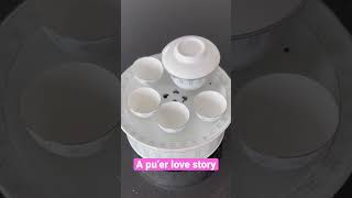 Download lagu A pu’er Chinese (tea) love story 🥰 mp3 Download lagu A pu’er Chinese (tea) love story 🥰 mp3